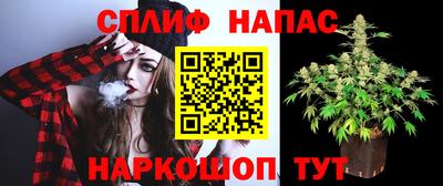 тгк Дубна